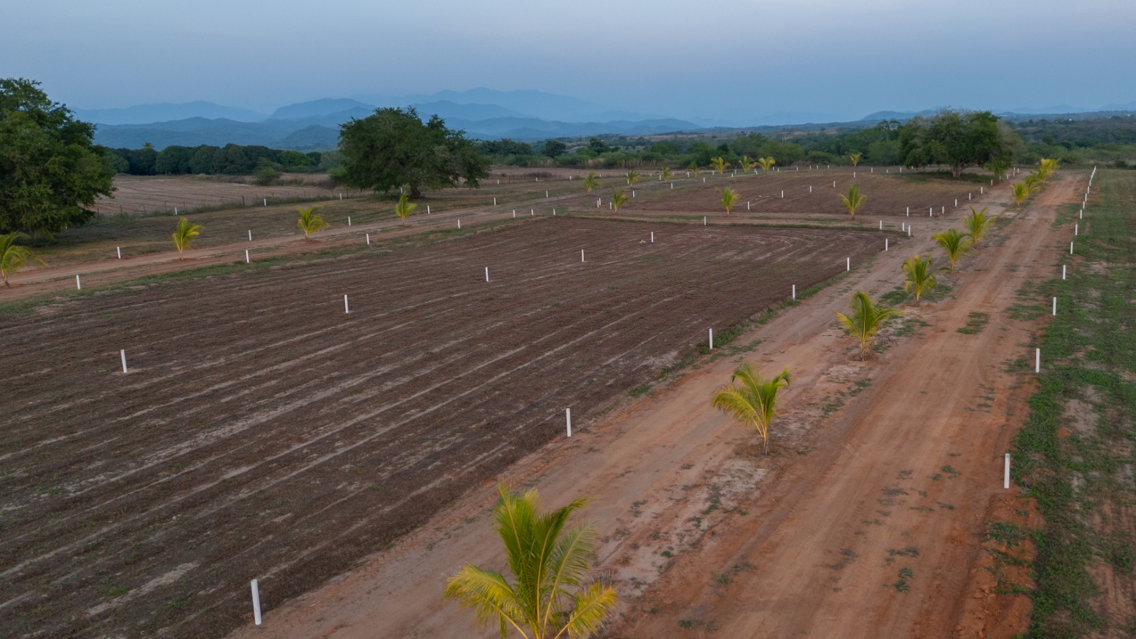 TERRENOS EN VENTA EN PUERTECITO, PUERTO ESCONDIDO , OAXACA